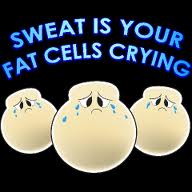 Your Fat Cells Are Begging You To Not Read This Important Information