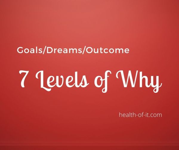 7 levels of why